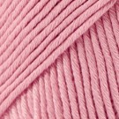 06 - ørkenrose thumbnail