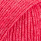 64 - bringebærsorbet thumbnail