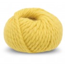 2010 Yellow thumbnail