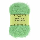 2010 Apple mint thumbnail