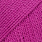 10 fuchsia thumbnail