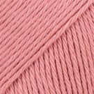 22 mild rose thumbnail