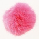 007 - fuchsia thumbnail