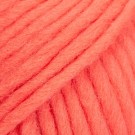 111 - korall thumbnail