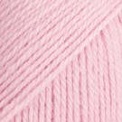 21 - rosa thumbnail