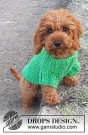 Good Boy Sweater by DROPS Design thumbnail