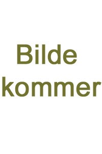 Basic heklenål 5,5