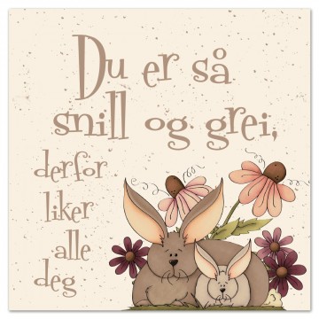 Kort - Du er så snill og grei...