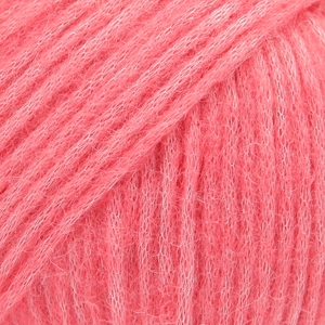 20 - rose