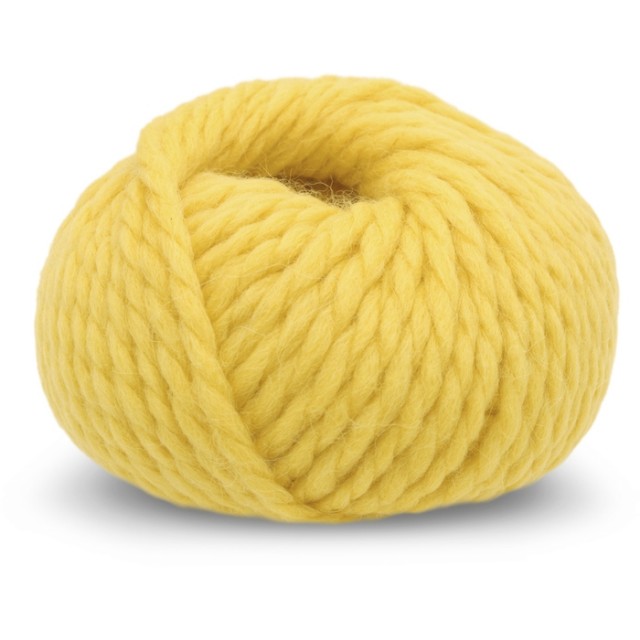 2010 Yellow