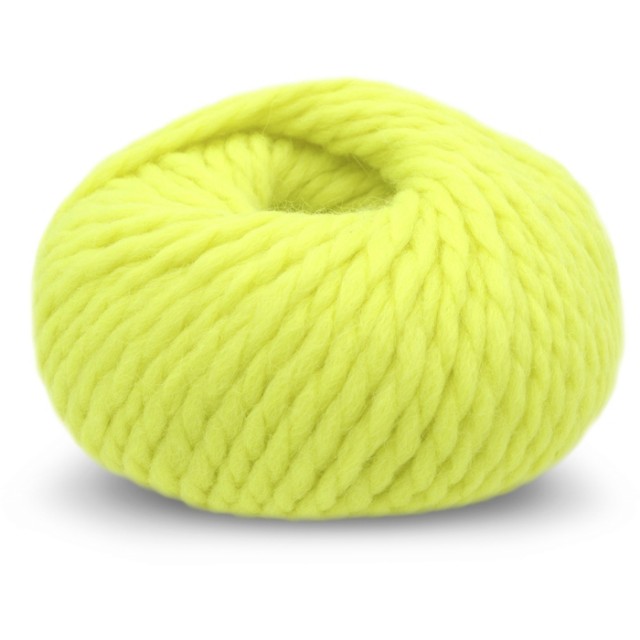 2013 Neon yellow