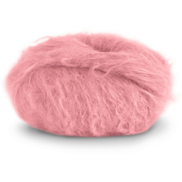 910 Soft coral